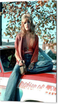 photo-of-fleetwood-mac-and-stevie-nicks-1-acrylic-print