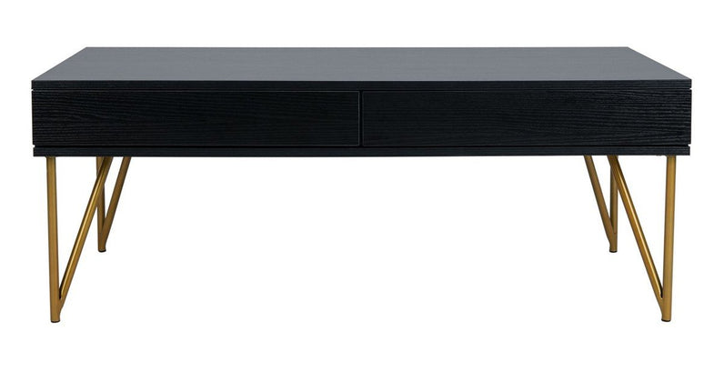 nellie-two-drawer-coffee-table-black-gold