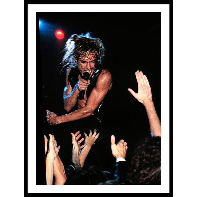 iggy-pop-performs-in-minnesota-framed-print