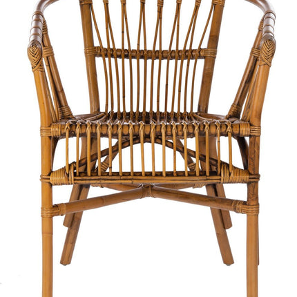 dora-rattan-accent-chair-honey-brown-wash-set-2
