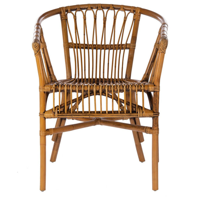 dora-rattan-accent-chair-honey-brown-wash-set-2