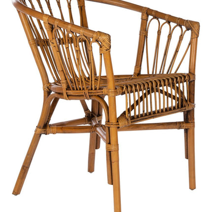 dora-rattan-accent-chair-honey-brown-wash-set-2