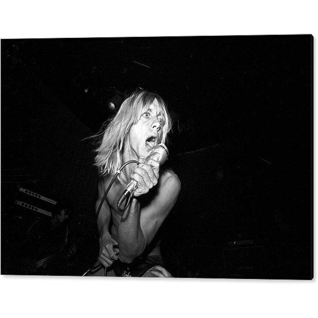 iggy-pop-performing-at-the-whisky-acrylic-print